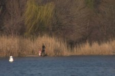 Park_NDfilter.jpg