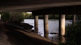 bridge.jpg