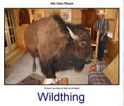 Wildthing and The Buffalo Whisperer.jpg Wildthing and The Buffalo Whisperer.jpg