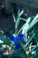 IMG_4432.jpg