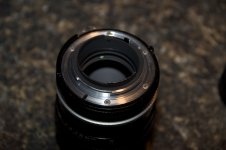 DSC_7412.jpg