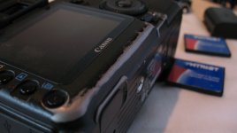 IMG_9048.jpg