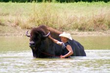 Wildthing and The Buffalo Whisperer 2.jpg Wildthing and The Buffalo Whisperer 2.jpg