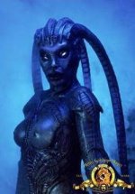 species3-sl03-still_hires.jpg