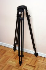 cartoniimg0119.jpg