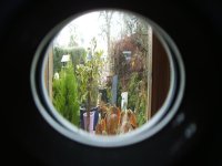 DSCF2622.jpg