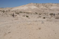 DSC_3392.jpg