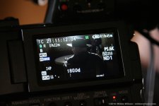 IMG_4974.jpg