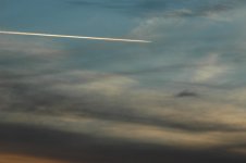 DSC_0090-2.JPG
