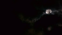 moon1.jpg