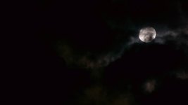 moon2.jpg