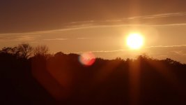 flare3.jpg