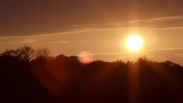 flare.jpg