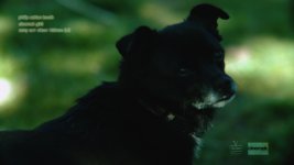 135mmCINEMEK.jpg
