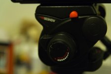 IMG_0498.jpg