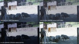 SHEEP_QUAD_VIEW.jpg