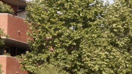 vlcsnap-2011-04-27-09h57m37s13.jpg