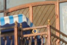 B--CENTER-300%-CROP-.jpg