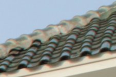 B--TOP-RIGHT--300%-CROP-IMG_3623.jpg