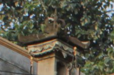 A--TOP-LEFT-300%-CROP- .jpg