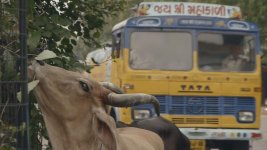 Indien 4.jpg