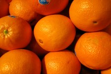IMG_0108.jpg