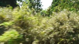 CountrysideJellotest720-(0;00;07;55).jpg