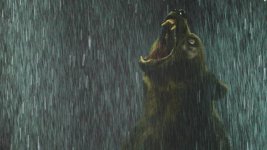 FUZZY-ROAR-EYE-1.jpg