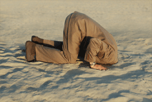 head-in-sand.gif head-in-sand.gif