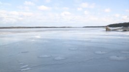 03_20mm.jpg