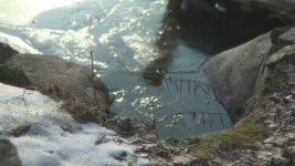 05_50mm.jpg