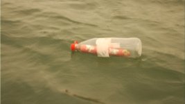 Bottle.jpg