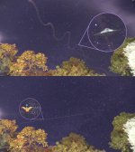 discovery.jpg