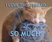 lol-cats_i-love-this-thread-so-much.jpg lol-cats_i-love-this-thread-so-much.jpg