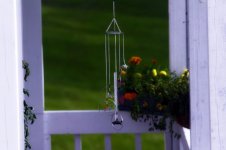 neighbors_flowers_graded_1280.jpg