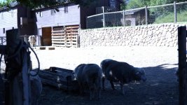 Untitled3.jpg