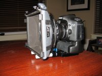 IMG_2196dvx.jpg
