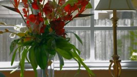 Flower Clolor.jpg
