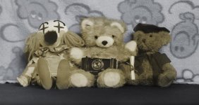 A Bears Portrait.jpg