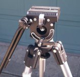 IMGP7145c.jpg
