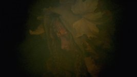 smoke.jpg smoke.jpg
