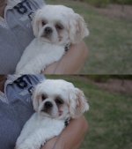 technicolor-cinestyle-before-after.jpg technicolor-cinestyle-before-after.jpg