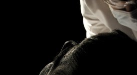 037.jpg
