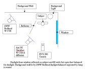 light diagram.jpg
