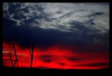 Fiery Horizon 72dpi.jpg
