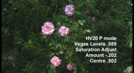 ComparisonHV20 P DV.jpg