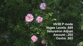 ComparisonHV20PHalfSize.jpg