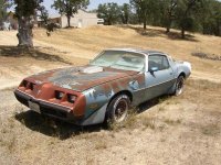 Trans Am 023.JPG
