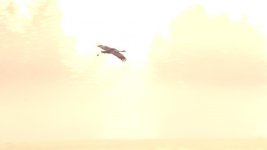 crane_framegrab_01 copy.jpg