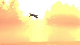 crane_framegrab_01 copy.jpg